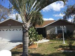 SARASOTA Pre-Foreclosure